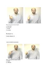 Online 6 ASL.docx