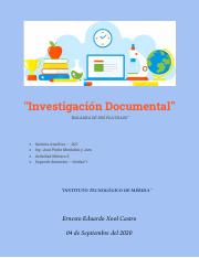 Investigación Documental - Balanza Analítica de 2 platillos.pdf