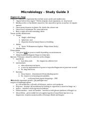 Microbiology Exam 3 Study Guide.docx