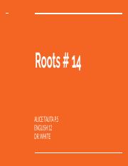 Roots # 14 (1).pdf