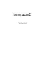 Learning session-17 N. Cerebellum.pptx
