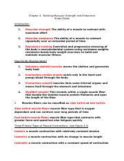 HHP Chapter 4 Study Guide 4th ed.docx