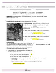  Copy of Natural Selection Gizmo Worksheet