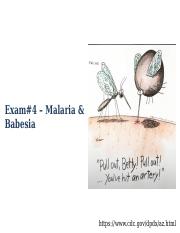 CANVAS - LECTURE#6 - EXAM#4 - MALARIA & BABESIA.pptx