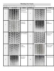 Amber Zou - Matching Tire Impressions.pdf
