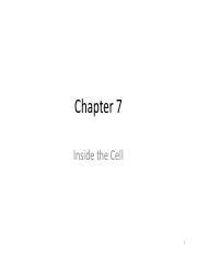 Chapter 7 - Inside the Cell - Copy (1).pdf