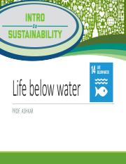 SDG 14_Life Below Water_Ashkar.pdf