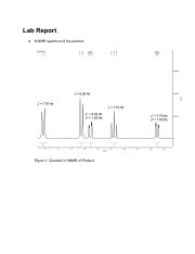 lab 9 report.pdf