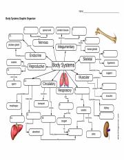 Copy of Body Systems Graphic Organizer - Google Docs.pdf