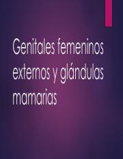 05 Genitales femeninos.pdf