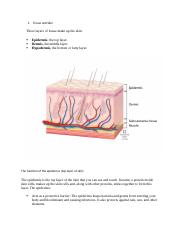 Tissue and Skin.docx