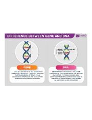 Difference-between-Gene-and-DNA.png