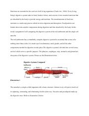 Biol1122 - Written assignment Unit 7.pdf