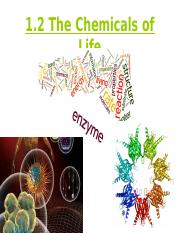 The Chemicals of Life.pptx