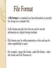 fileformatsanditstypes-140131084629-phpapp01-2-34.pdf