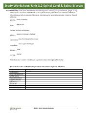 3-11-19 Study Worksheet Unit 3.2 - spinal cord and spinal nerves.pdf