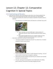 Lesson 12, Comparative Cognition 2, Special Topics.docx.pdf