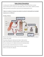 G8 Kidney Dialysis Notes.pdf