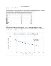 Maria Kalogris SDS PAGE analysis.pdf