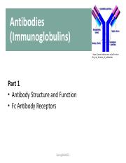 Unit 4-Antibodies-part 1-Structure.pdf