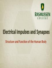 Action Potentials and Synapses (1)