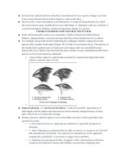 18.1-Evolution & Natural Selection_ Introduction to Evolution II Notes.docx
