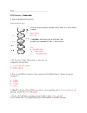 Study Guide - Unit 7 DNA Structure (Answer Key)