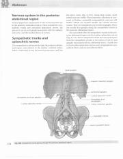 格氏解剖学  教学版  第2版  英文版  影印版_398.pdf