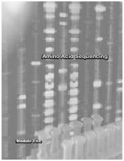 5 - Amino Acid Sequencing.pdf