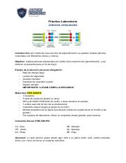 Practica Laboratorio -Jabones artesanales (1).pdf