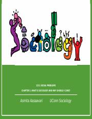 1251_what is sociology(2).pptx