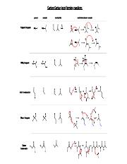 Carbon carbon bond forming reactions.pdf
