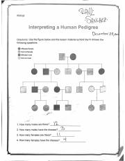 Interpreting a Human Pedigree.pdf
