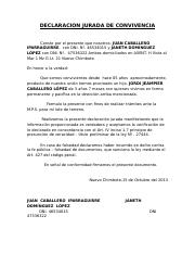 DECLARACION JURADA DE CONVIVENCIA.docx