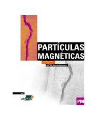 Particulas Magneticas.pdf