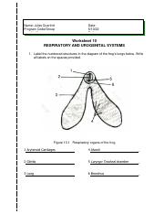 RESPIRATORY_AND_UROGENITAL_SYSTEMS_QUERIMIT.pdf
