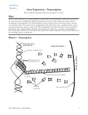 Kami Export - Gene Expression-Transcription-S.1617552922.pdf