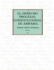 60502662-El-Derecho-Procesal-Constitucional-de-Amparo-samuel-Abad-Yupanqui.pdf