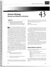 Human Biology_Muscles and Muscle Contraction_exercise 43.pdf
