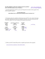 BSCI 1510 Mitochondria Lecture Worksheet.pdf