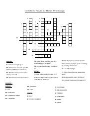 CrossWord Puzzle for Horse Terminology.docx