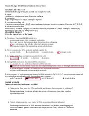 Aixa Urquia - chapter 10  DNA Protein synthesis review sheet (1).pdf