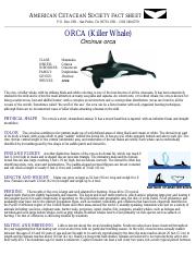 killer-whale.pdf