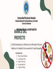 Avance Proyecto Metodologia.pdf