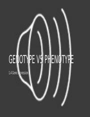 1.4 Genotype Vs Phenotype.pptx