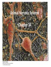 2_Nervous system_Sp22.pptx