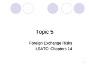 Topic5-forex risk2