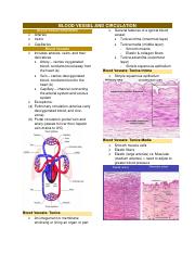 [ANAPHY LAB] Blood Vessels and Circulation.pdf