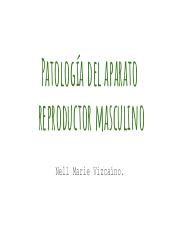 Patología del aparato  reproductor masculino.pdf