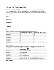 03_01 Virtual Cell Cycle Lab Report Template (1).docx